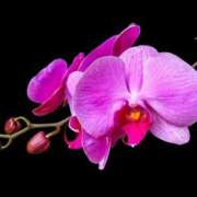 ヒメ日記 2025/09/23 11:01 投稿 くるみ 奥様の実話 梅田店