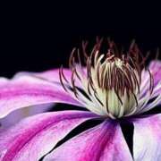 ヒメ日記 2025/10/03 13:01 投稿 くるみ 奥様の実話 梅田店