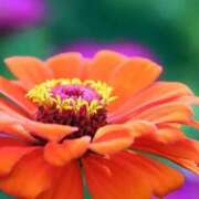 ヒメ日記 2025/10/09 13:01 投稿 くるみ 奥様の実話 梅田店