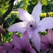 ヒメ日記 2025/10/21 13:01 投稿 くるみ 奥様の実話 梅田店