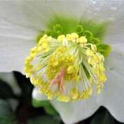 ヒメ日記 2025/10/24 13:01 投稿 くるみ 奥様の実話 梅田店