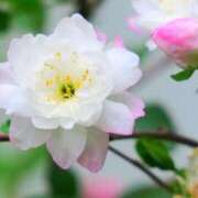 ヒメ日記 2025/11/07 13:01 投稿 くるみ 奥様の実話 梅田店