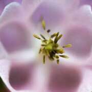 ヒメ日記 2025/11/13 13:01 投稿 くるみ 奥様の実話 梅田店