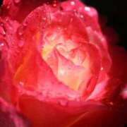 ヒメ日記 2025/11/14 13:01 投稿 くるみ 奥様の実話 梅田店