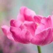 ヒメ日記 2025/11/15 11:01 投稿 くるみ 奥様の実話 梅田店