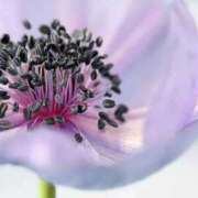 ヒメ日記 2025/11/27 13:30 投稿 くるみ 奥様の実話 梅田店