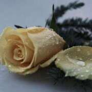 ヒメ日記 2025/12/02 13:01 投稿 くるみ 奥様の実話 梅田店