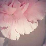 ヒメ日記 2025/12/06 11:01 投稿 くるみ 奥様の実話 梅田店