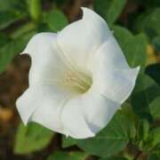 ヒメ日記 2025/12/23 13:01 投稿 くるみ 奥様の実話 梅田店