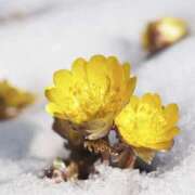 ヒメ日記 2026/01/06 13:00 投稿 くるみ 奥様の実話 梅田店