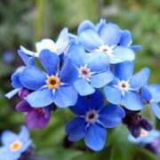 くるみ 忘れた頃に♪ 奥様の実話 梅田店