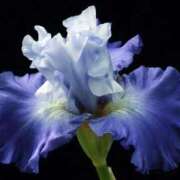 ヒメ日記 2026/02/12 12:05 投稿 くるみ 奥様の実話 梅田店