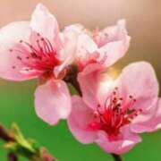 くるみ ひな祭り♪ 奥様の実話 梅田店