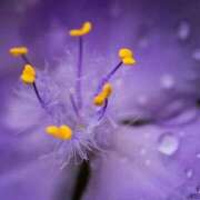 ヒメ日記 2026/04/10 12:07 投稿 くるみ 奥様の実話 梅田店