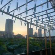 ヒメ日記 2025/08/09 22:04 投稿 瀬乃えれな HYPER TOKYO