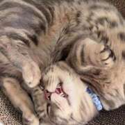 ヒメ日記 2025/07/28 17:00 投稿 戌亥とこ ラブアイドル