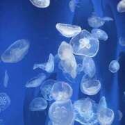 ヒメ日記 2025/08/30 18:14 投稿 なぎ ホテルだヨ！全員集合