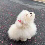 ヒメ日記 2025/10/22 23:47 投稿 内田しずか PLAY