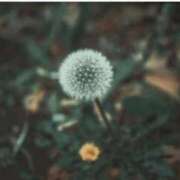 ヒメ日記 2025/07/06 18:18 投稿 長門侑希 五十路マダム宇都宮店(カサブランカグループ)