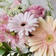 ヒメ日記 2025/07/19 19:34 投稿 長門侑希 五十路マダム宇都宮店(カサブランカグループ)