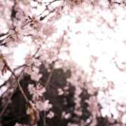 ヒメ日記 2025/07/26 18:06 投稿 長門侑希 五十路マダム宇都宮店(カサブランカグループ)