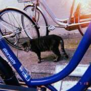 やみ 💟🪻喜びの章 逆バニーメンズエステ とろとろオイルSPA