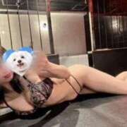 ヒメ日記 2025/12/14 15:25 投稿 ふうか 中洲秘密倶楽部