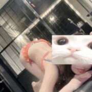 ヒメ日記 2026/02/23 09:05 投稿 ふうか 中洲秘密倶楽部