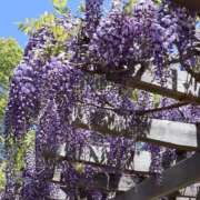 ヒメ日記 2025/05/01 11:13 投稿 のぞみ 奥様の実話 梅田店