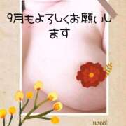 ヒメ日記 2025/09/02 11:54 投稿 のぞみ 奥様の実話 梅田店