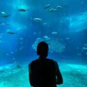 ヒメ日記 2025/07/14 02:21 投稿 いおり 東京デザインリング錦糸町店