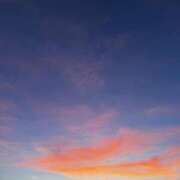 ヒメ日記 2025/08/02 10:19 投稿 いおり 東京デザインリング錦糸町店