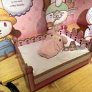 ヒメ日記 2026/09/06 20:55 投稿 きき ナチュラルプリンセス