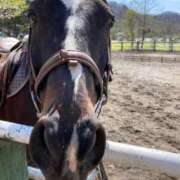 ヒメ日記 2025/08/09 16:14 投稿 エリカお嬢様 M&m Maidとm男の夢物語。