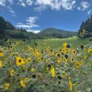 ヒメ日記 2025/08/16 13:09 投稿 エリカお嬢様 M&m Maidとm男の夢物語。