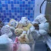 ヒメ日記 2025/08/23 22:30 投稿 エリカお嬢様 M&m Maidとm男の夢物語。