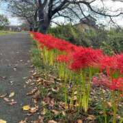 ヒメ日記 2025/10/01 12:09 投稿 エリカお嬢様 M&m Maidとm男の夢物語。