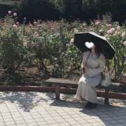 ヒメ日記 2025/10/19 16:03 投稿 エリカお嬢様 M&m Maidとm男の夢物語。