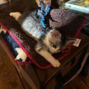 ヒメ日記 2025/11/08 19:41 投稿 エリカお嬢様 M&m Maidとm男の夢物語。