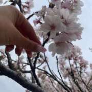 ヒメ日記 2026/01/08 20:10 投稿 エリカお嬢様 M&m Maidとm男の夢物語。