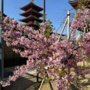 ヒメ日記 2026/03/21 18:03 投稿 エリカお嬢様 M&m Maidとm男の夢物語。