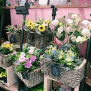 ヒメ日記 2026/03/29 19:45 投稿 エリカお嬢様 M&m Maidとm男の夢物語。