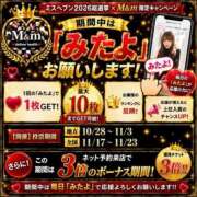 ヒメ日記 2026/09/25 15:48 投稿 エリカお嬢様 M&m Maidとm男の夢物語。