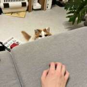 ヒメ日記 2025/07/11 09:25 投稿 ひかり 錦糸町ミセスアロマ（ユメオト）