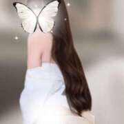 ヒメ日記 2025/10/17 11:23 投稿 Shokora/しょこら プロフィール加古川