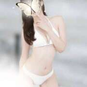 ヒメ日記 2025/10/28 09:54 投稿 Shokora/しょこら プロフィール加古川