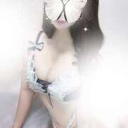 ヒメ日記 2025/11/15 16:20 投稿 Shokora/しょこら プロフィール加古川