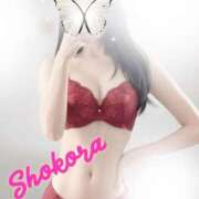 ヒメ日記 2025/12/17 17:20 投稿 Shokora/しょこら プロフィール加古川