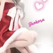 ヒメ日記 2025/12/23 15:44 投稿 Shokora/しょこら プロフィール加古川