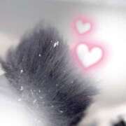 ヒメ日記 2026/01/25 09:34 投稿 Shokora/しょこら プロフィール加古川